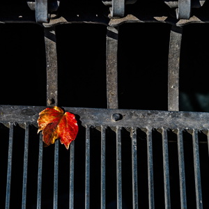 Mehr Minimalismus-030