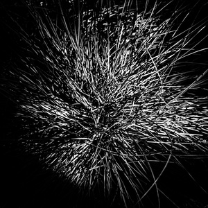 KW30-2026-2886