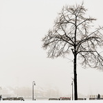 Schnee-Flensburg-22.jpg