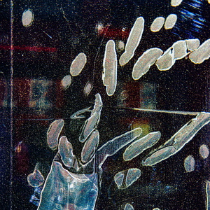 KW14-2025-2416
