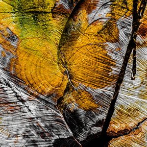 Inspired by Saul-195