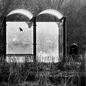 Inspired by Saul-192