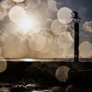 Inspired by Saul-188